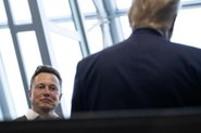 Warum Milliardäre wie Elon Musk bei den US-Wahlen Donald Trump unterstützen